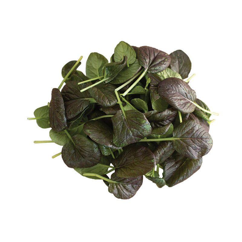 Tatsoi - Red