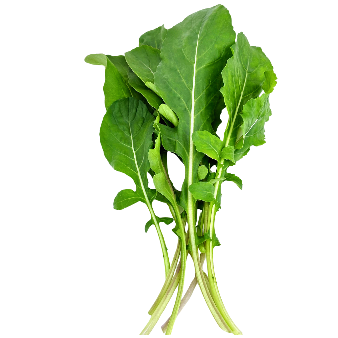 Arugula