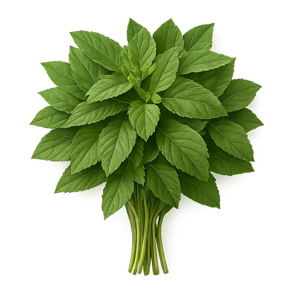Herb Bundle