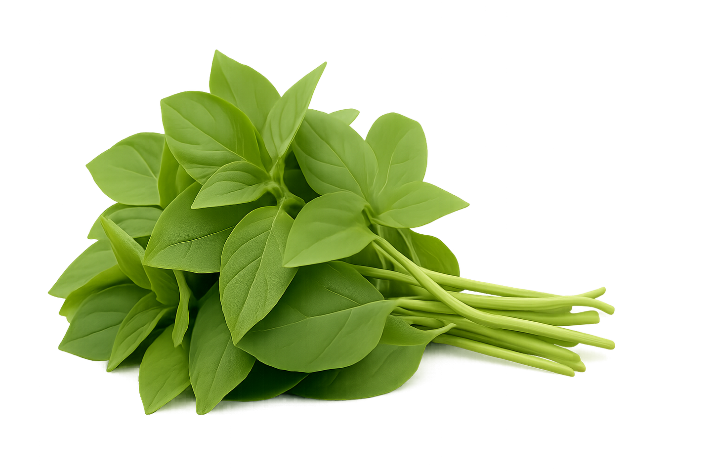 Basil - Lime