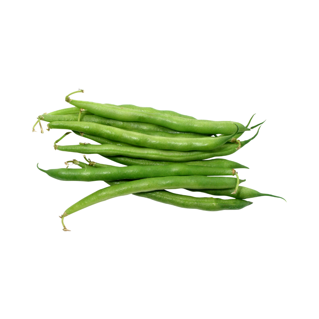 Beans - Green Bush