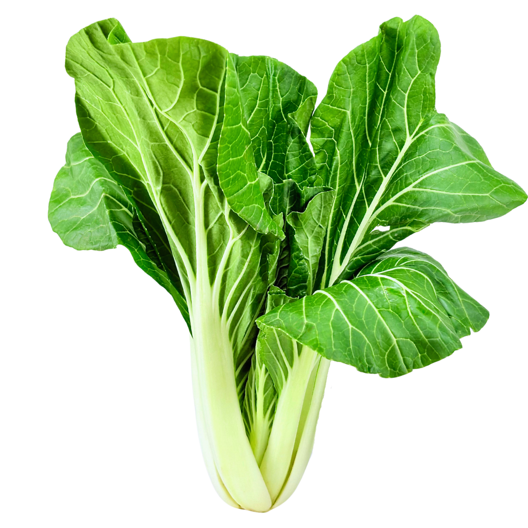 Bok Choy