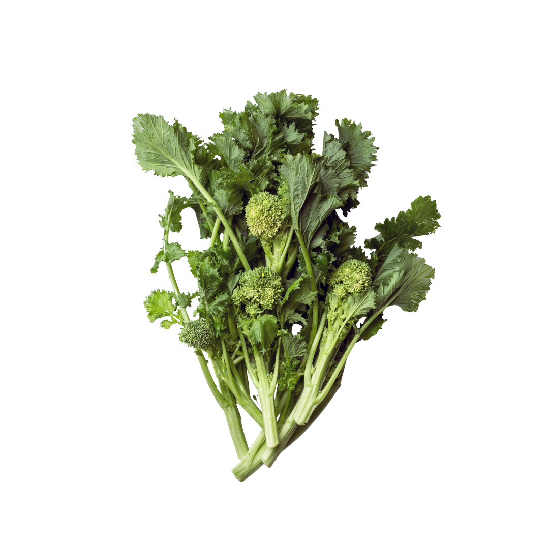 Broccoli Rabe