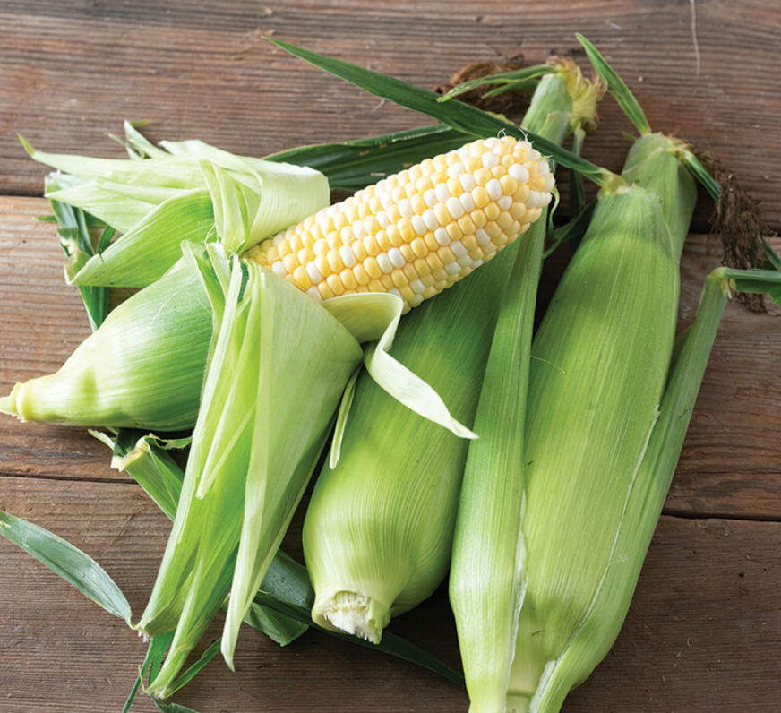 Corn