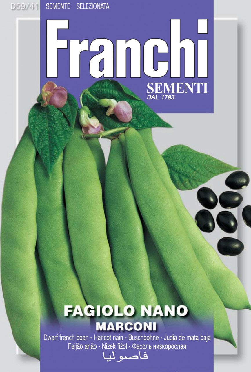 Seeds - Bean (Green Roma / Marconi Bush)