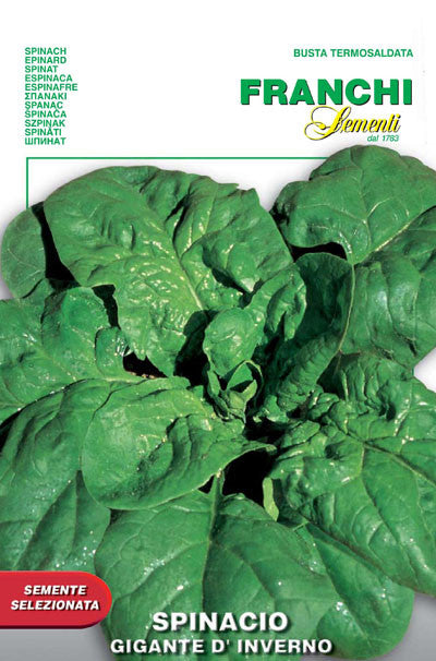 Seeds - Spinach (Winter Giant / Gigante d'Inverno)