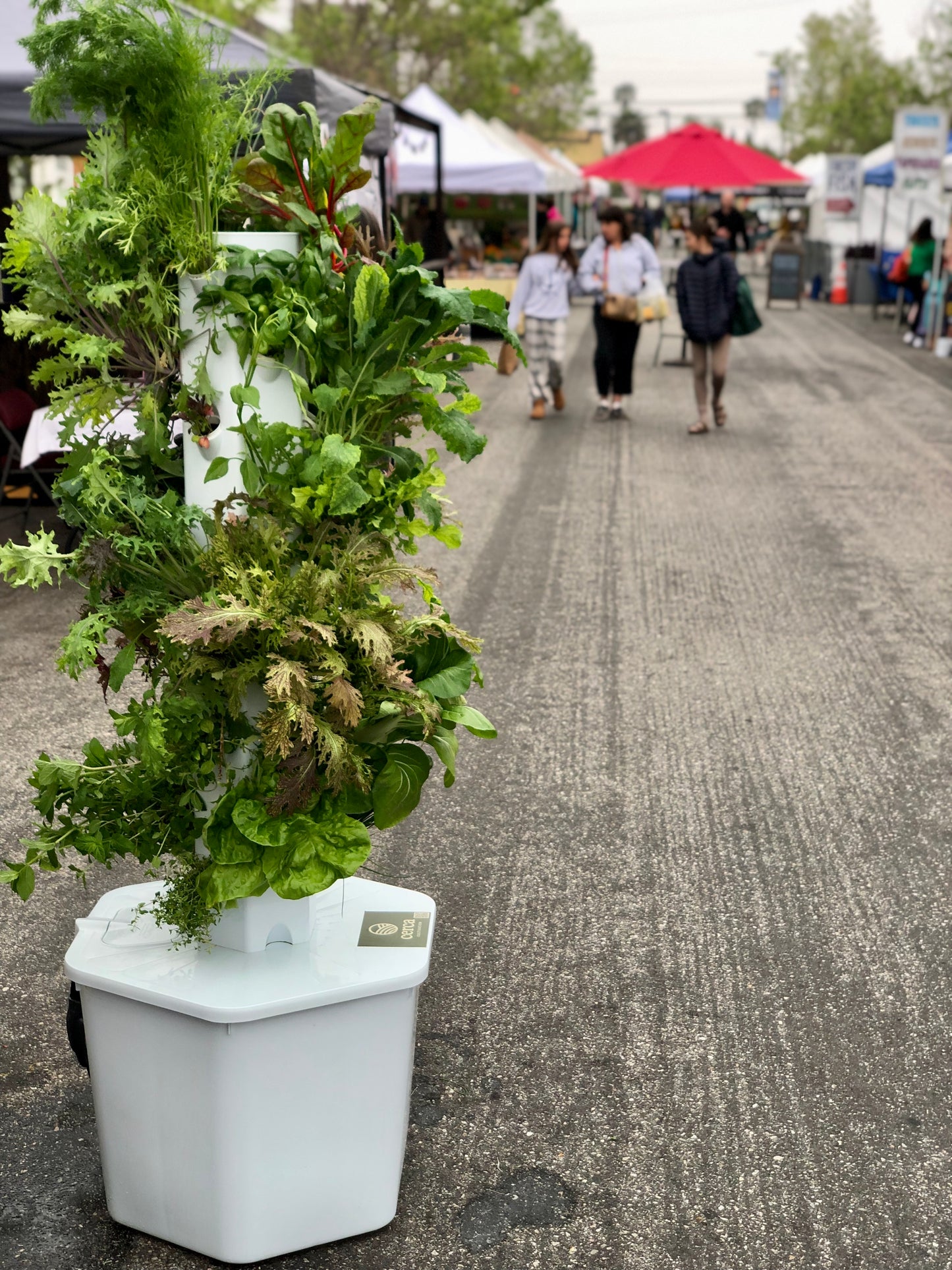 Aerospring 27-Plant Outdoor System