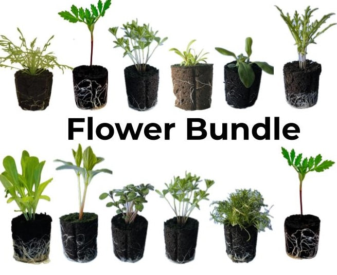 Bundle - Flower Bundle
