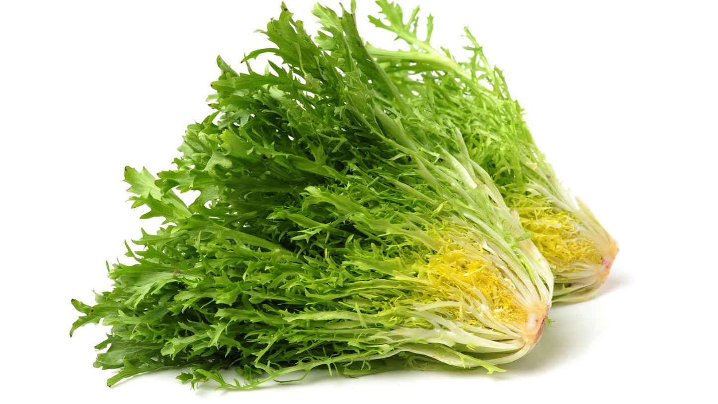 Endive