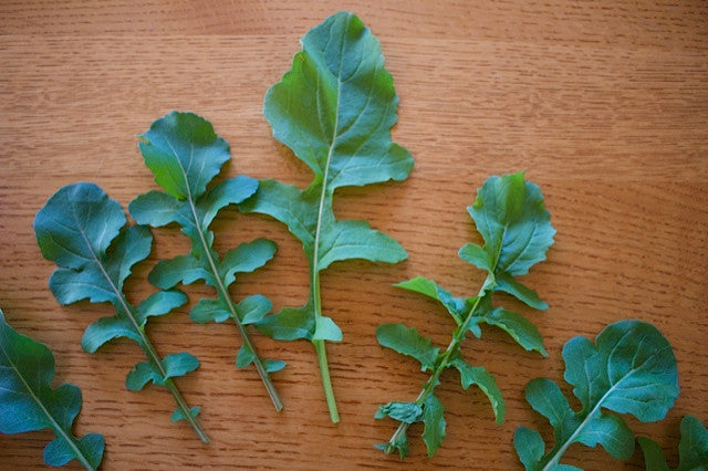 Seeds - Arugula (Rucola Cultivated)