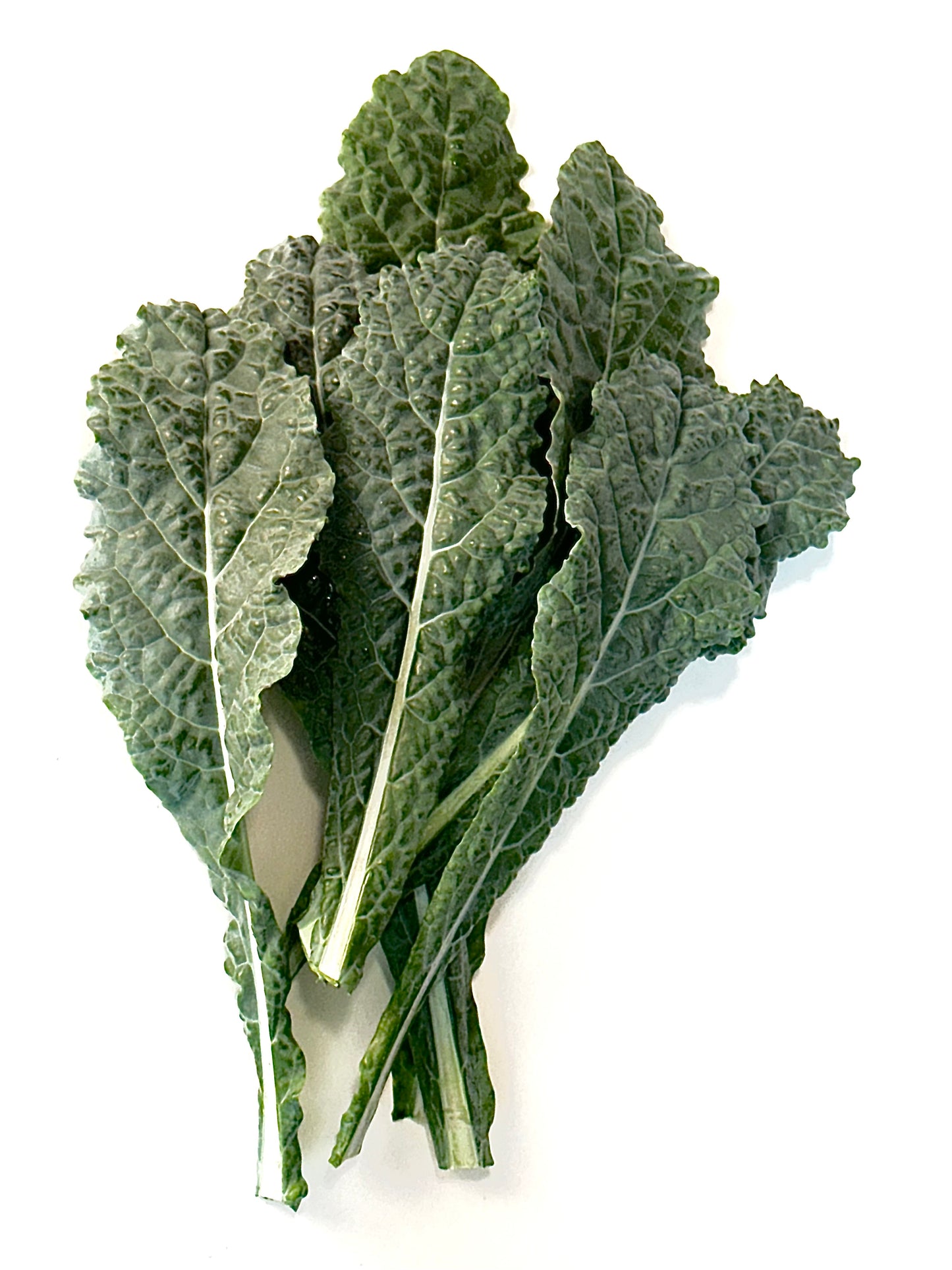 Kale - Toscano