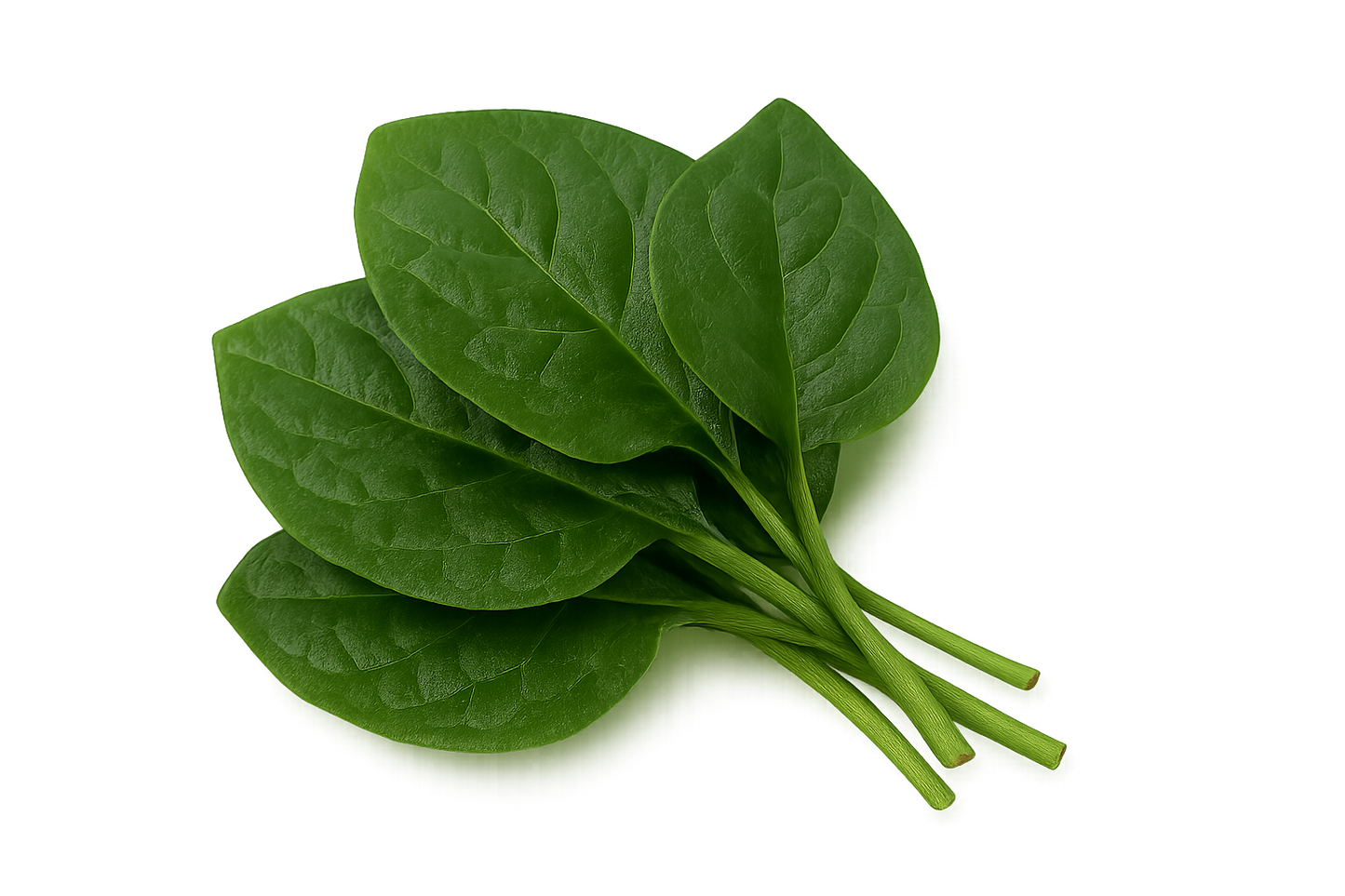 Greens Bundle