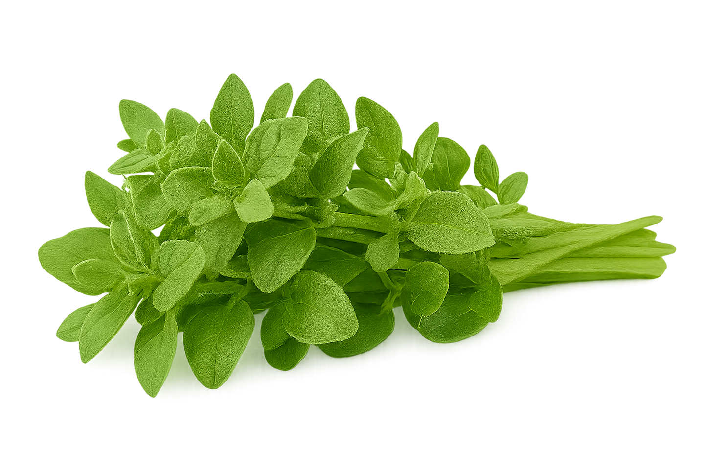 Herb Bundle