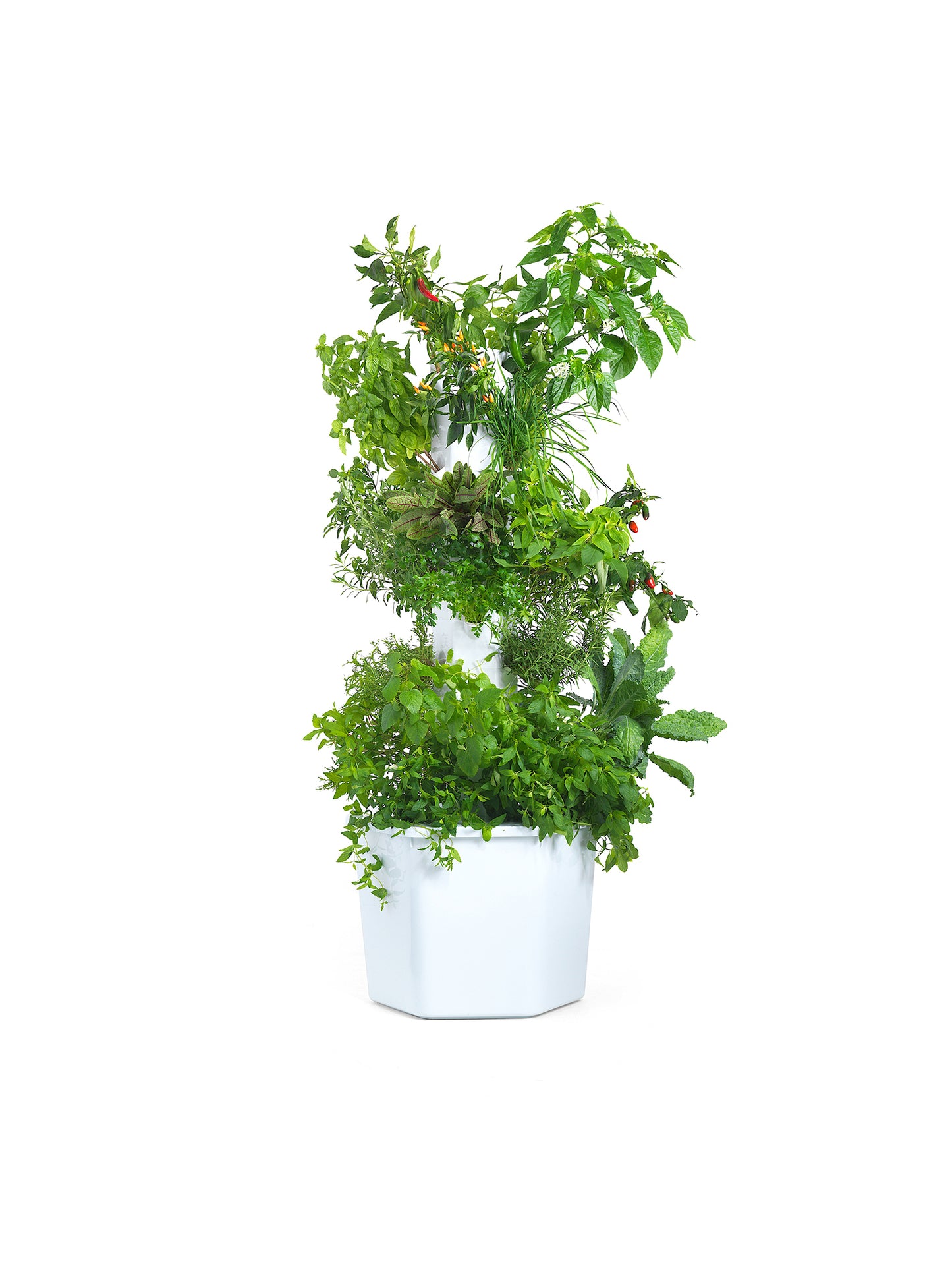 Aerospring 3-Plant Hexmodule