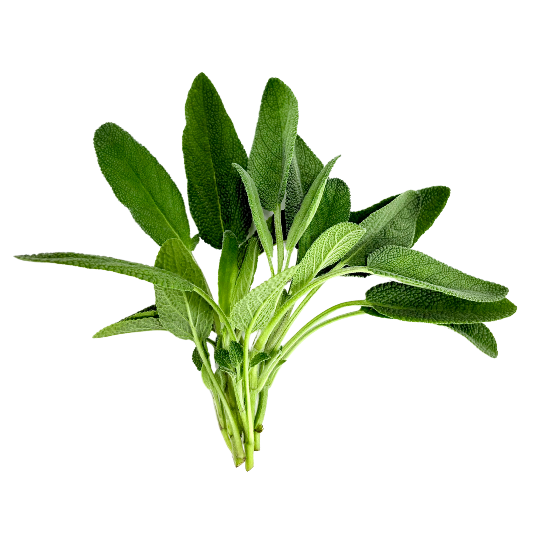Sage