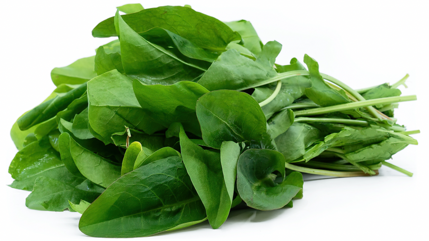 Sorrel