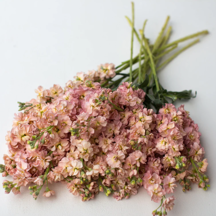 Bundle - Flower Bundle