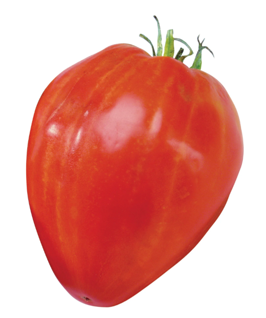 Tomato - Beefsteak