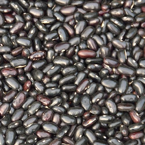 Beans - Umami