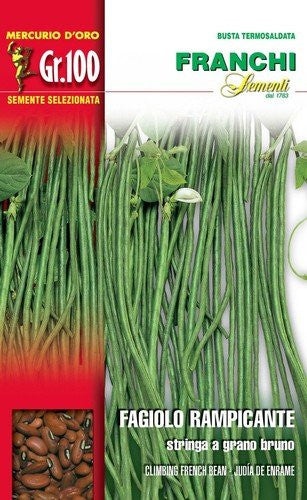 Seeds - Bean (Yardlong / Stringa a Grano Bruno)