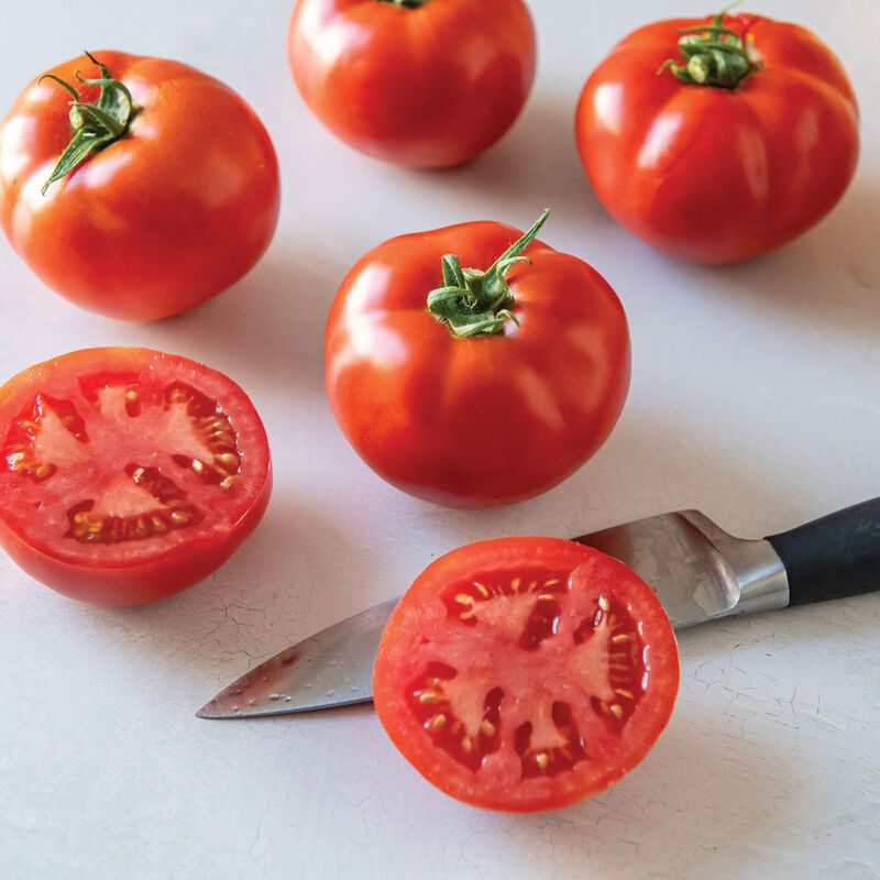 Tomato - Medium Slicing