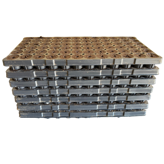 DIY Seed Starter Plugs (504 Count)