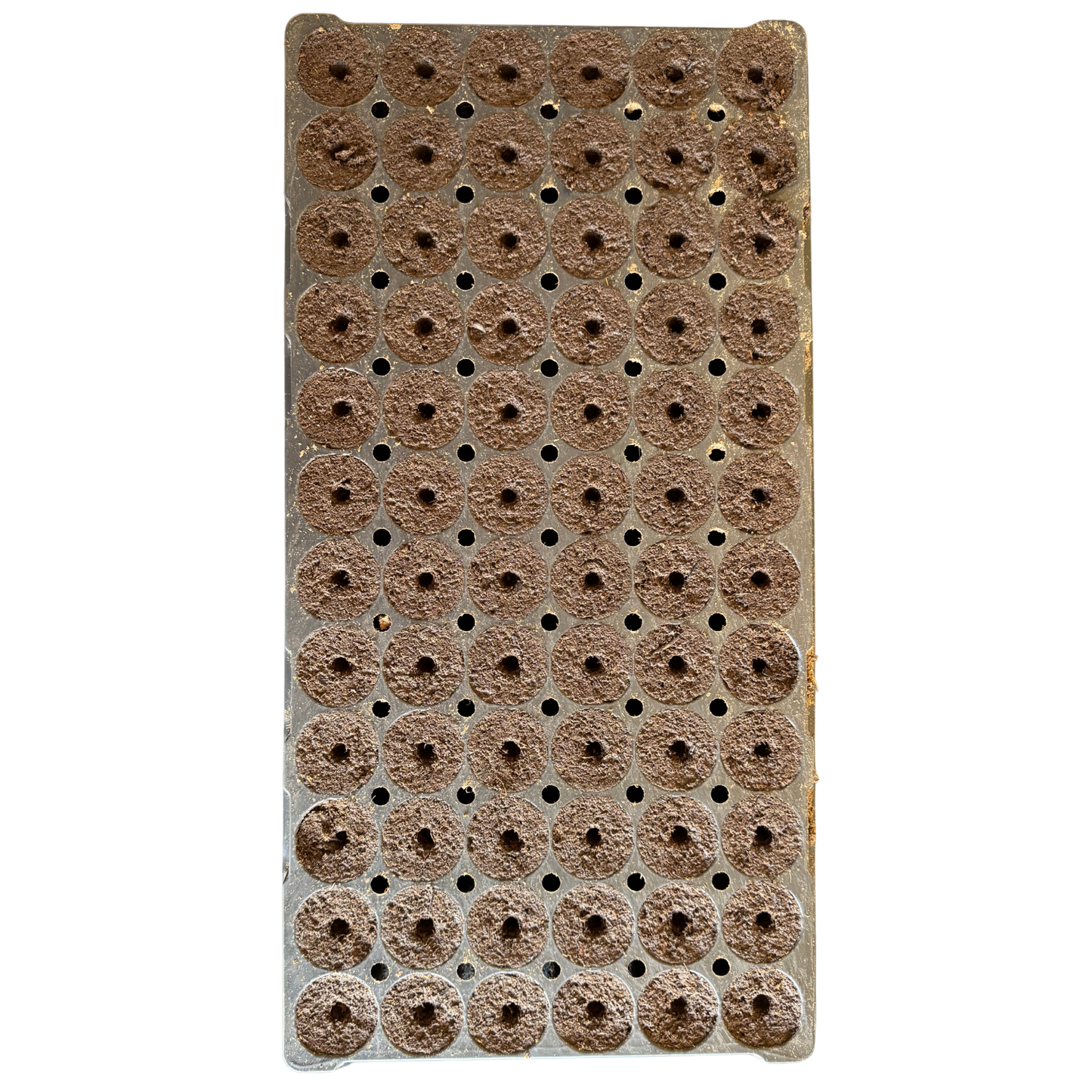 DIY Seed Starter Plugs (504 Count)