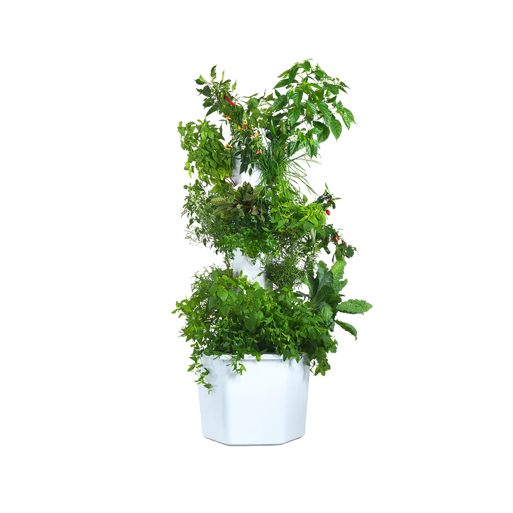 Aerospring 27-Plant Outdoor System