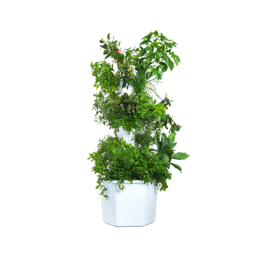 Aerospring 27-Plant Outdoor System