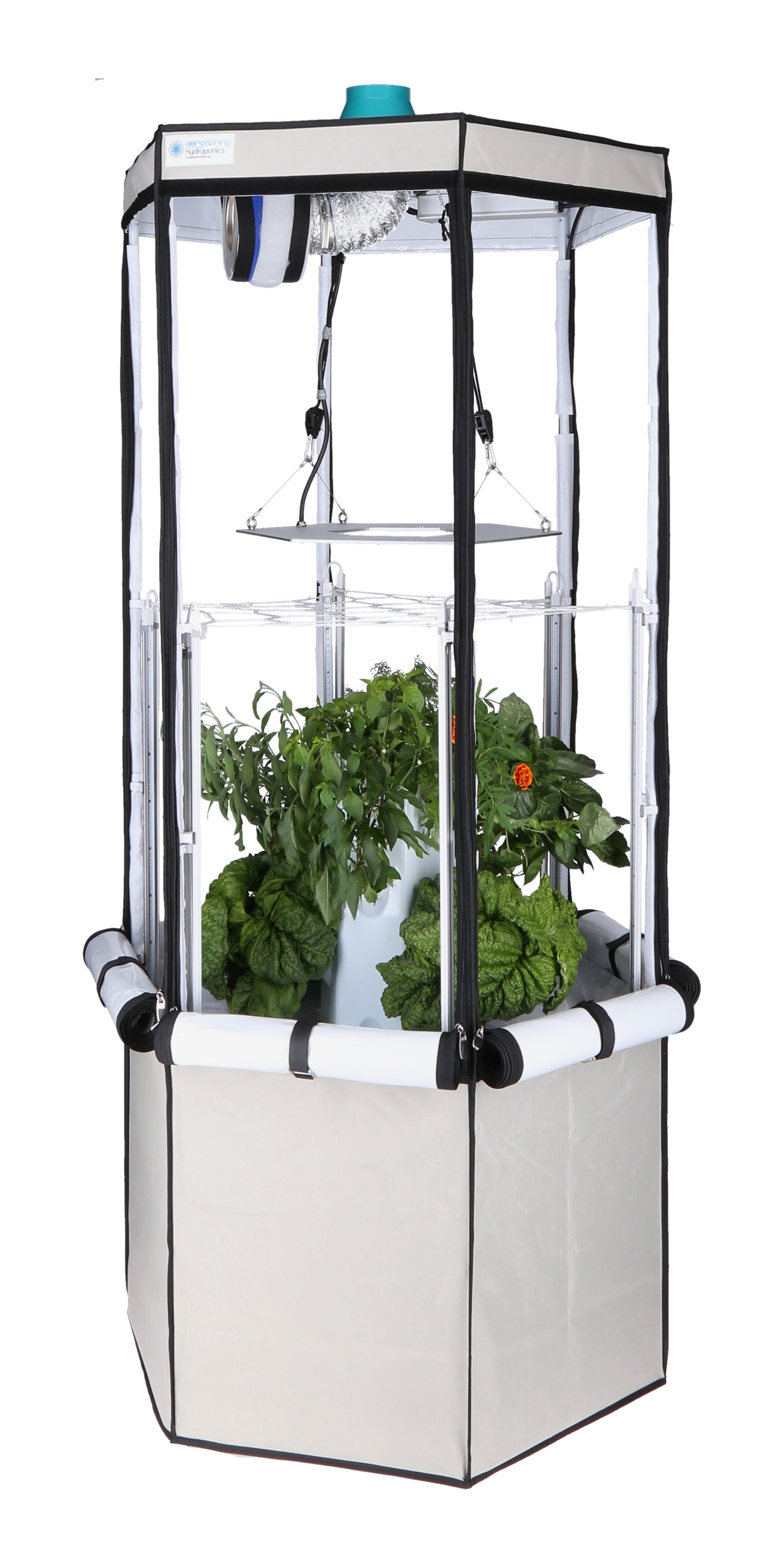 9-Plant Indoor Hydroponic System