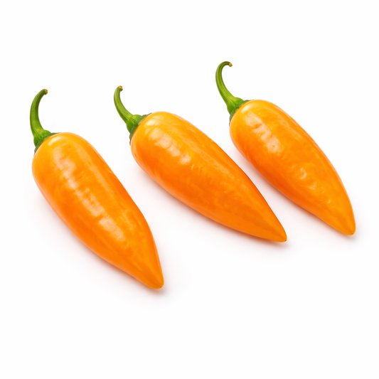 Pepper - Peruvian