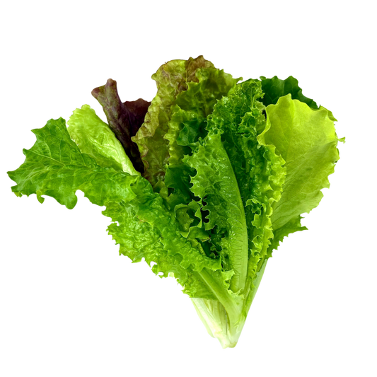 Lettuce - Baby Mix
