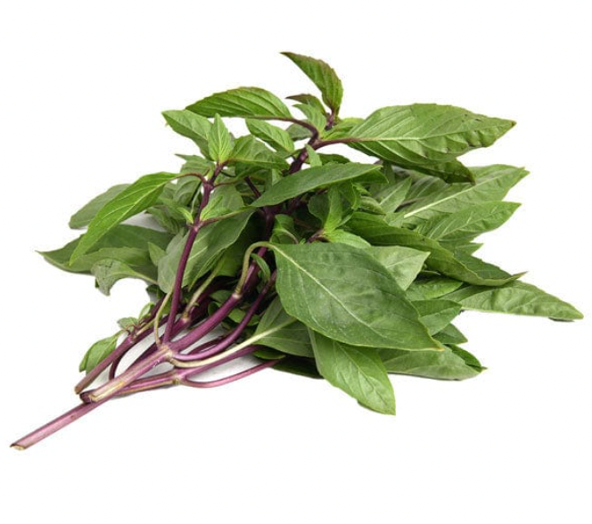 Herb - Basil (Thai)