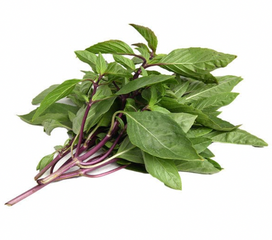 Herb - Basil (Thai)