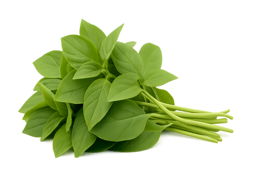 Basil - Lime