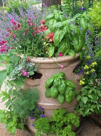 Patio Pocket Planter