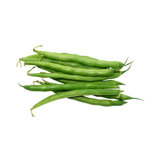 Beans - Green Bush