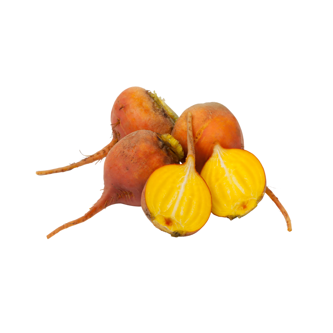 Beet - Yellow