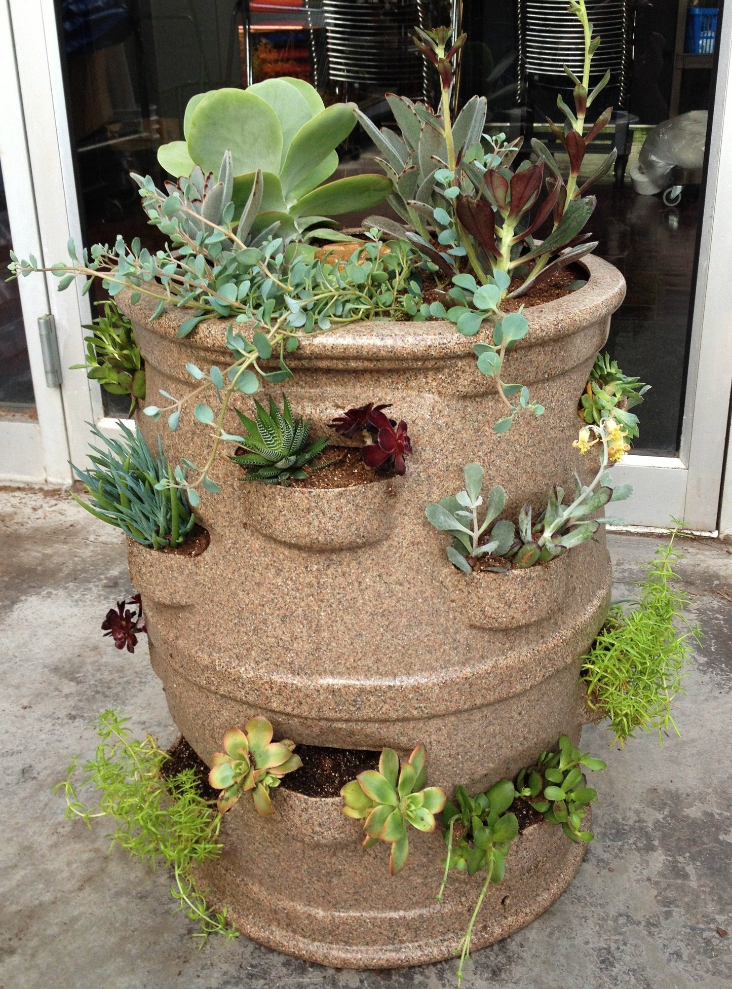 Planter - Patio Pocket with Wheels Combo