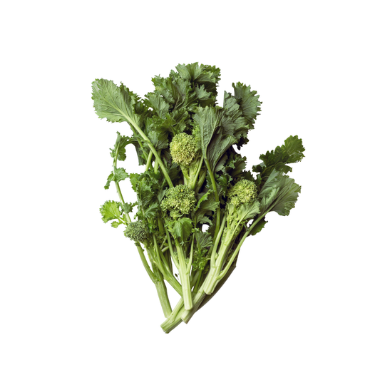 Broccoli Rabe