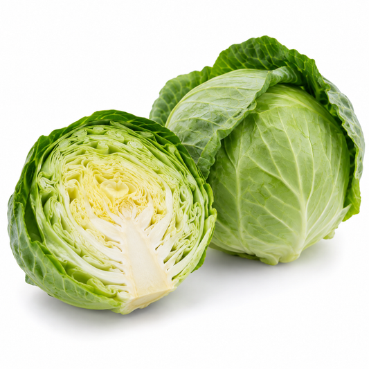 Cabbage - Green