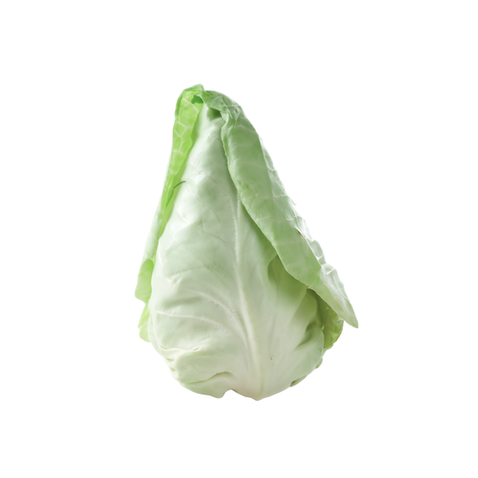 Cabbage - Pointed