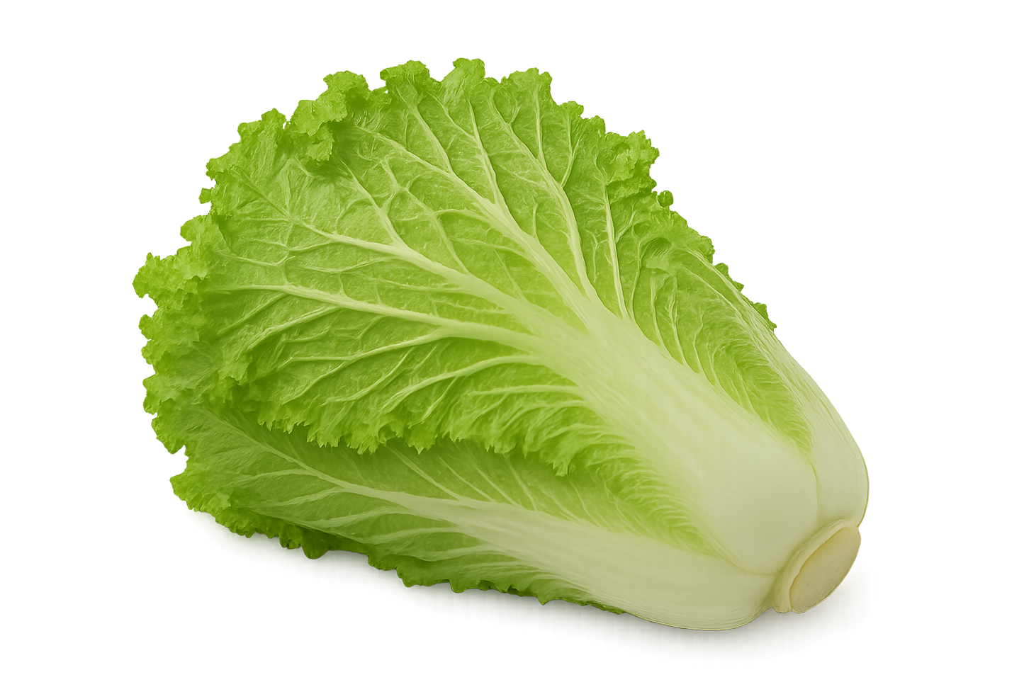 Veggie Bundle