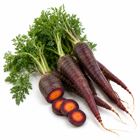 Carrot - Purple