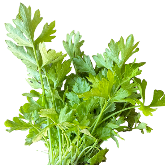 Celery