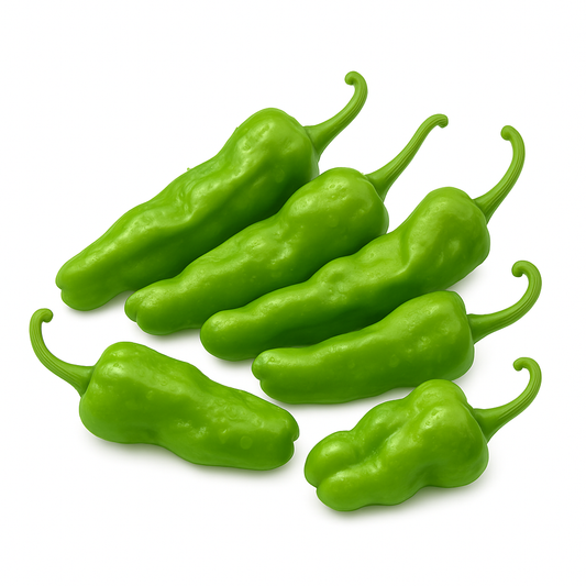Pepper - Shishito