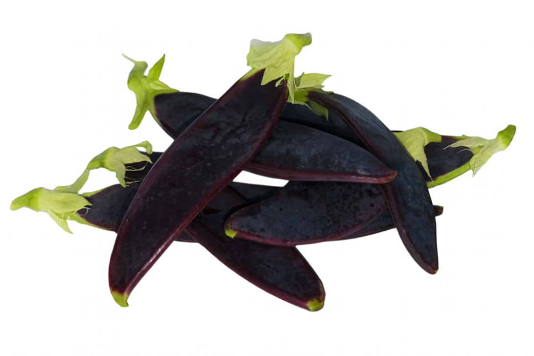 Pea - Snow