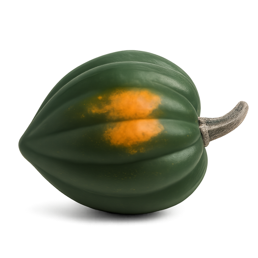 Squash - Acorn