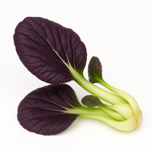 Tatsoi - Purple