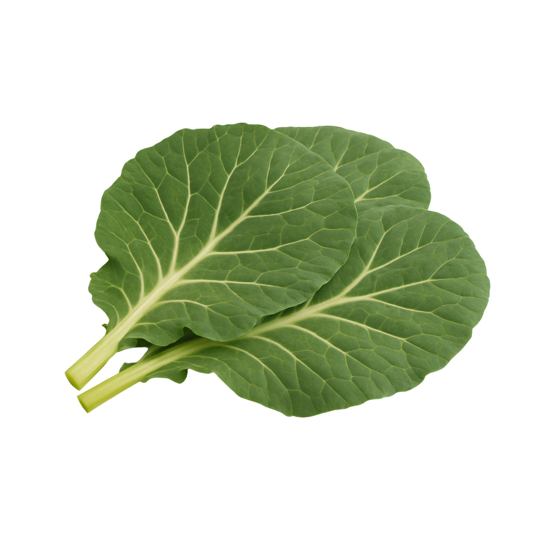 Collard